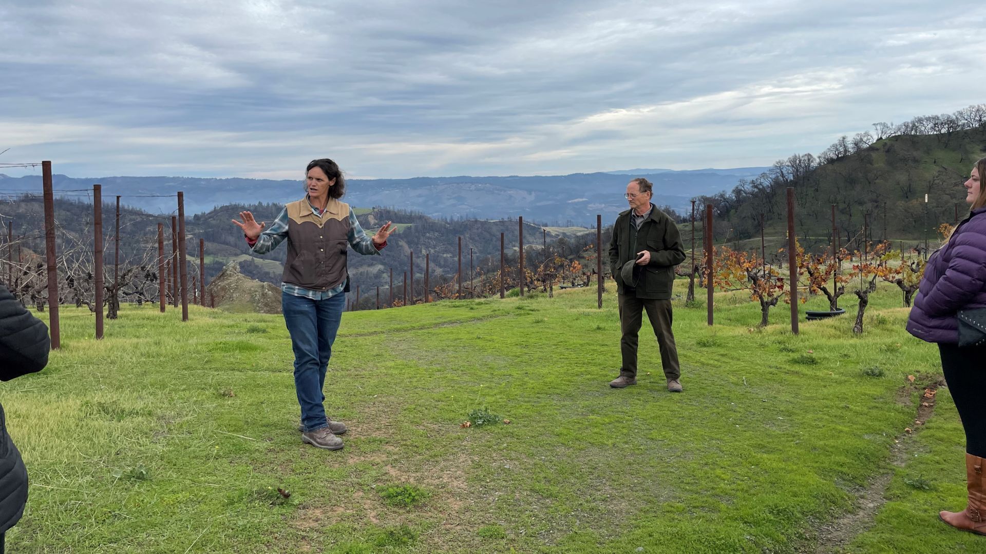 Cain Winery Estate Vineyard, drainage lines